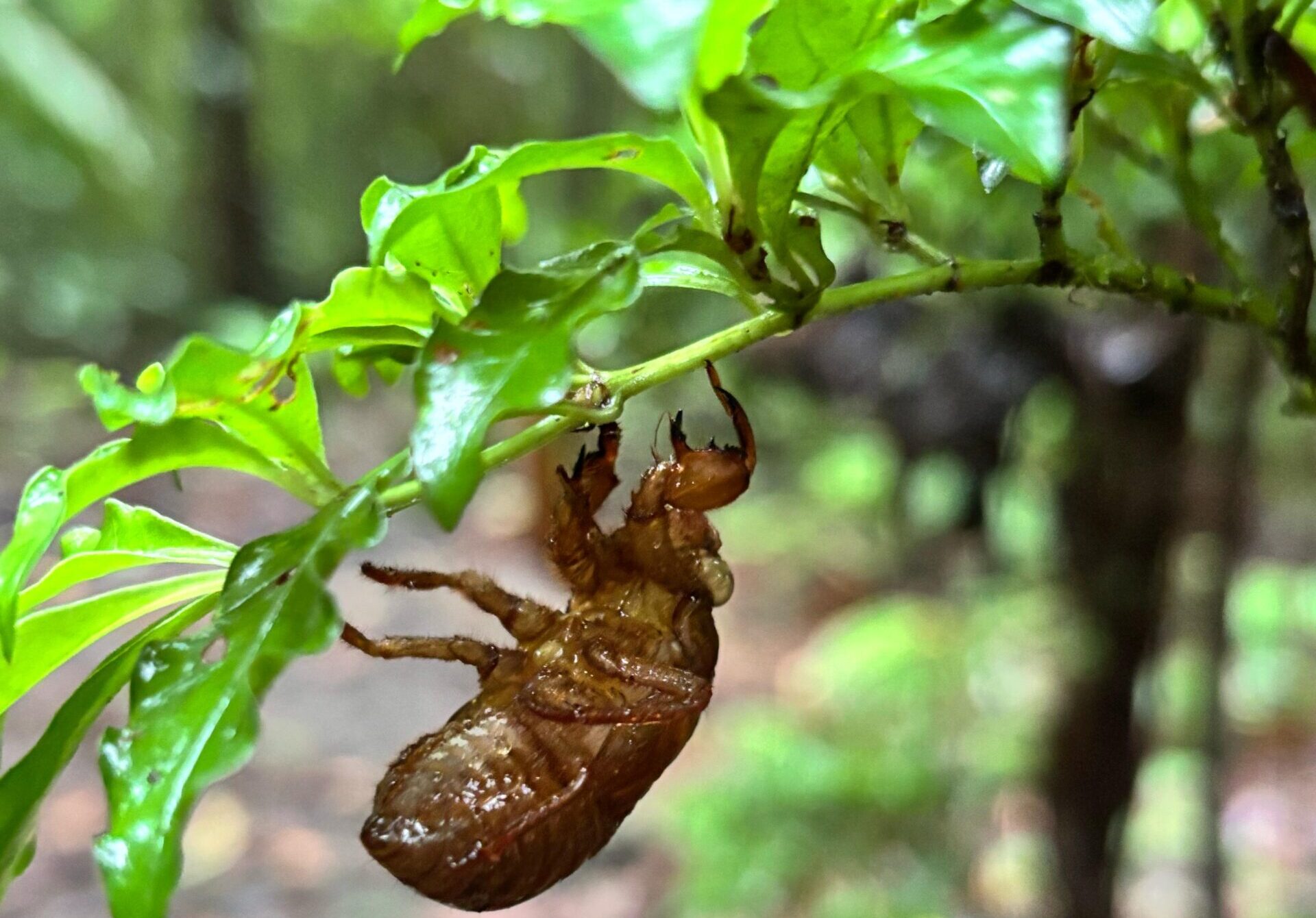 WhatsApp Image 2025-05-02 at 1.59.35 PM (1)